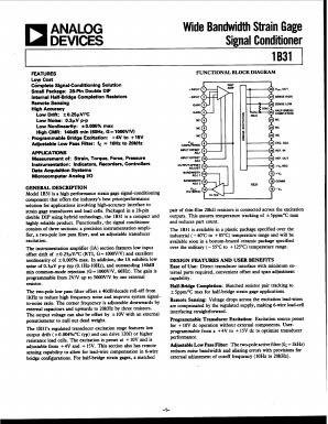 1B31AN Datasheet PDF Analog Devices