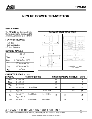 TPM401 Datasheet PDF Advanced Semiconductor