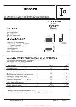 DSK120 Datasheet PDF Bytes