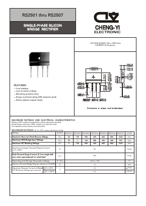 RS2504 Datasheet PDF CHENG-YI ELECTRONIC CO., LTD.