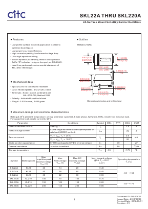 SKL22AG Datasheet PDF Chip Integration Technology Corporation