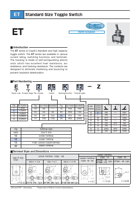 ET503K10-Z Datasheet PDF Copal Electronics