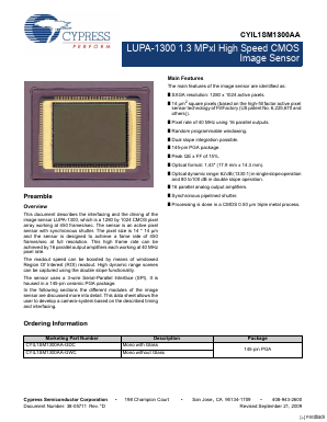 CYIL1SM1300AA-GDC Datasheet PDF Cypress Semiconductor