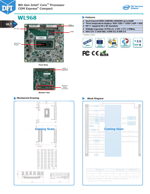 WL968 Datasheet PDF DFI Inc