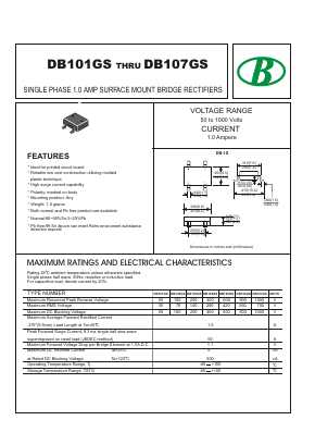 DB101GS Datasheet PDF Nanjing International Group Co