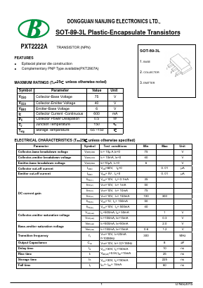 PXT2222A Datasheet PDF Nanjing International Group Co