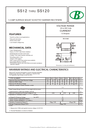 SS14 Datasheet PDF Nanjing International Group Co