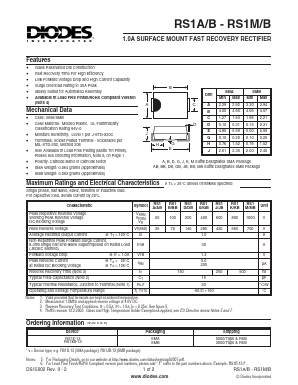 RS1AB Datasheet PDF Diodes Incorporated.