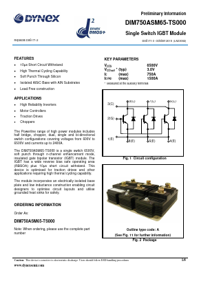 DIM500XSM65-TS000 Datasheet PDF Dynex Semiconductor