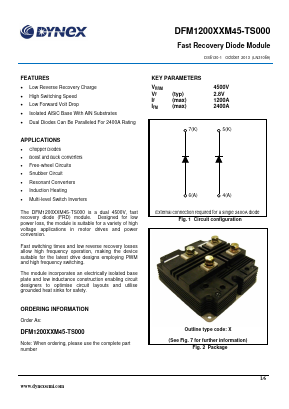 DFM1200XXM45-TS000 Datasheet PDF Dynex Semiconductor