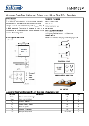 HM4618SP Datasheet PDF ETC