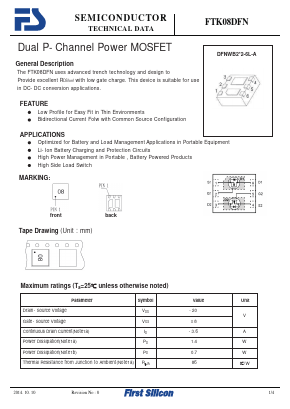 FTK08DFN Datasheet PDF First Silicon Co., Ltd