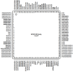 MC9S12B256 Datasheet PDF Freescale Semiconductor