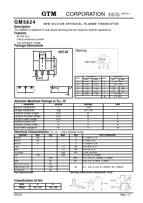 GM5824 Datasheet PDF GTM CORPORATION