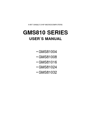 GMS81024 Datasheet PDF Hynix Semiconductor