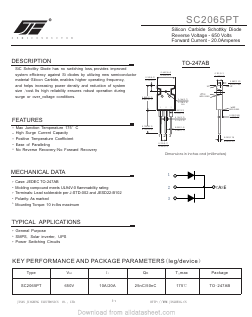 SC2065PT Datasheet PDF Jinan Jing Heng Electronics Co., Ltd.