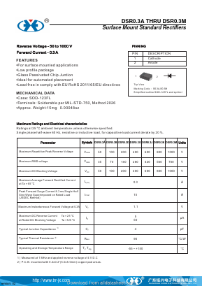 DSR0.3M Datasheet PDF Guangzhou Juxing Electronic Co., Ltd.