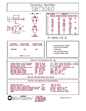 SBT3060 Datasheet PDF Microsemi Corporation