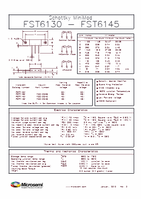 FST6145 Datasheet PDF Microsemi Corporation