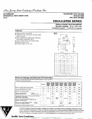 RS601 Datasheet PDF New Jersey Semiconductor