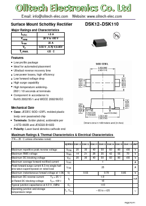 DSK14 Datasheet PDF Olitech Electronics Co.Ltd