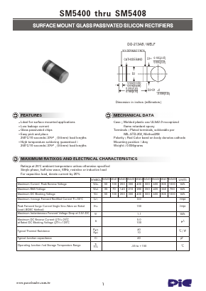 SM5405 Datasheet PDF PACELEADER INDUSTRIAL