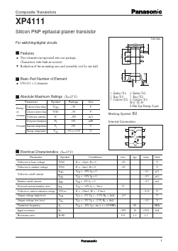 XP4111 Datasheet PDF Panasonic Corporation