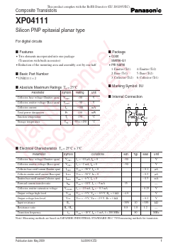 XP0411100L Datasheet PDF Panasonic Corporation