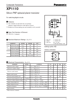 XP1110 Datasheet PDF Panasonic Corporation