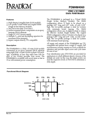 PDM4M4060S10AM Datasheet PDF Paradigm Technology