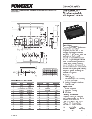 CM400DU-24NFH Datasheet PDF Powerex