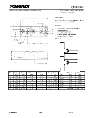 QIC0610001 Datasheet PDF Powerex