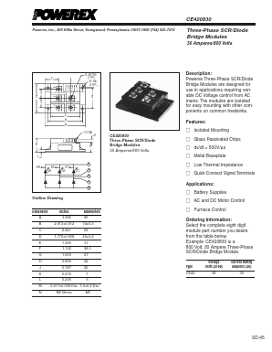 CE420830 Datasheet PDF Powerex