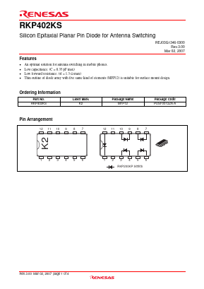 RKP402KS Datasheet PDF Renesas Electronics