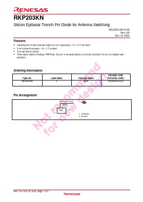 RKP203KN Datasheet PDF Renesas Electronics