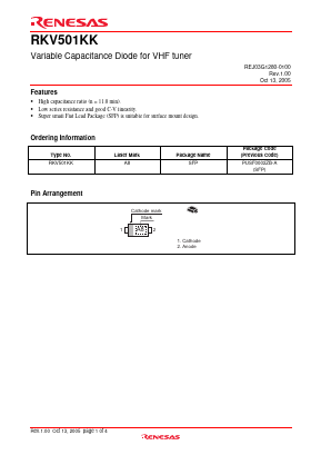 RKV501KK Datasheet PDF Renesas Electronics