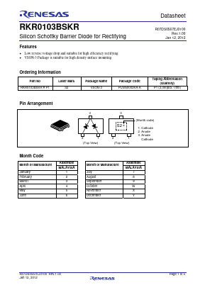 RKR0103BSKR Datasheet PDF Renesas Electronics