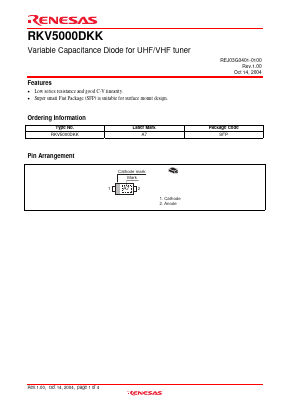 RKV5000DKK Datasheet PDF Renesas Electronics