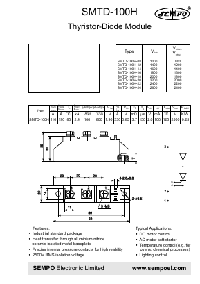 SMTD-100H-18 Datasheet PDF SEMPO ELECTRONIC Limited