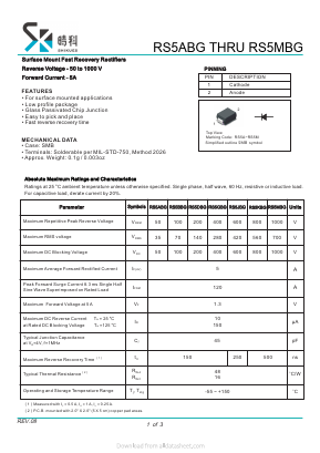 RS5JBG Datasheet PDF SHIKE Electronics