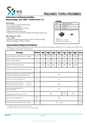 RS2BBG Datasheet PDF SHIKE Electronics