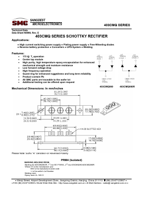 403CMQ100 Datasheet PDF Sangdest Microelectronic (Nanjing) Co., Ltd
