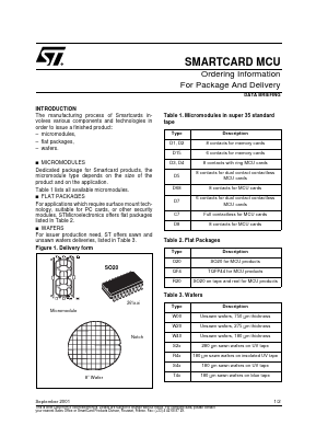 ST19SF08CD45XXXZ Datasheet PDF STMicroelectronics