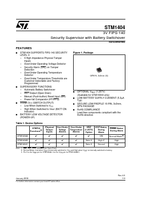 STM1404CSNCQ6 Datasheet PDF STMicroelectronics