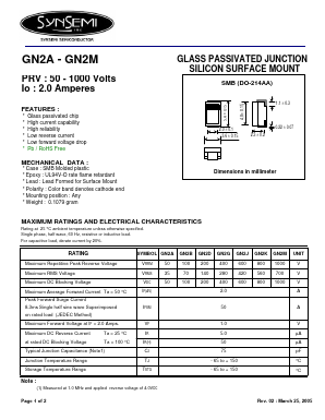 GN2M Datasheet PDF SynSemi, Inc.