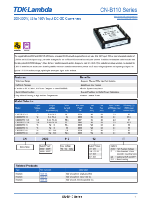 CN300B110-12 Datasheet PDF TDK Corporation