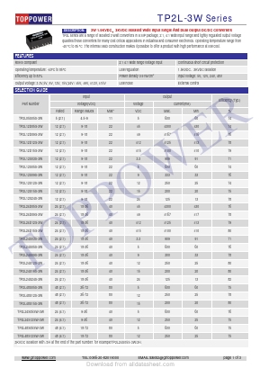 TP2L-3W Datasheet PDF Toppower Electronic Technology Limited