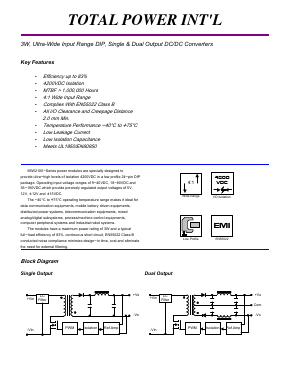 MIW2100 Datasheet PDF Total Power International