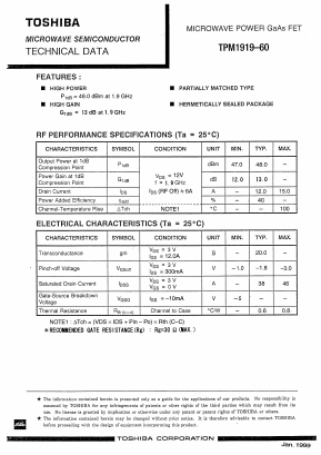 TPM1919-60 Datasheet PDF Toshiba