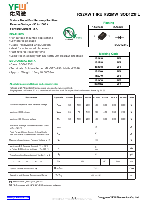 RS2AW Datasheet PDF DONGGUAN YOU FENG WEI ELECTRONICS CO., LTD